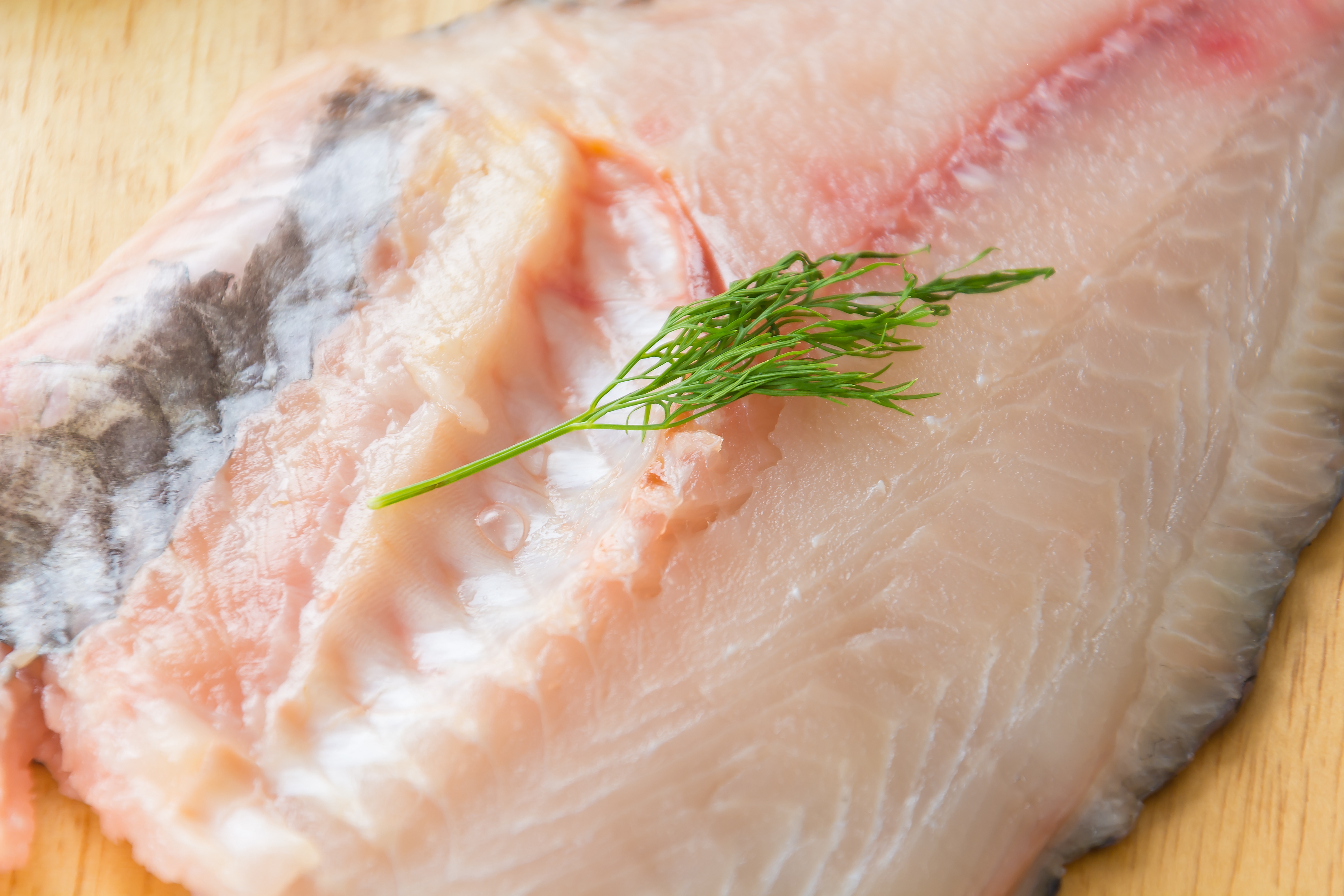 Tilapia